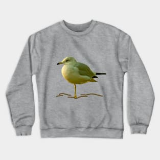 Seagull Perched on One Leg Crewneck Sweatshirt